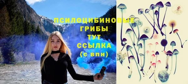 спиды Бронницы