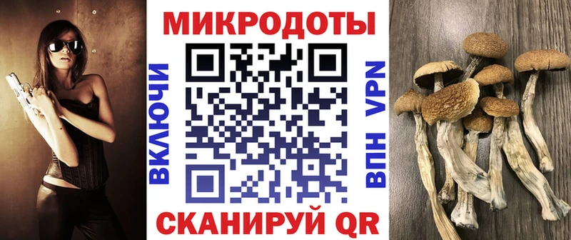 Галлюциногенные грибы мицелий Купить где Малмыж